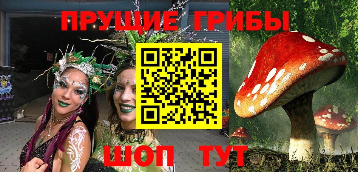 Псилоцибиновые грибы ЛСД Усолье-Сибирское